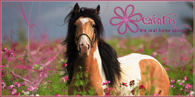 //cavalry.gportal.hu/portal/cavalry/image/gallery/1330710746_22.png